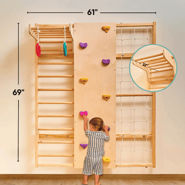 Wall Mounted Jungle Gym